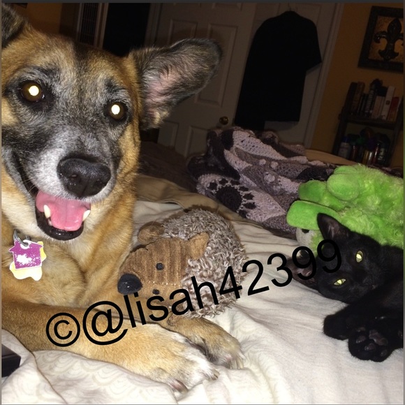 Meet your Posher, Lisa - Picture 4 of 11